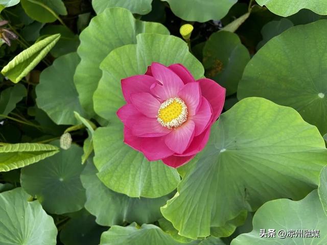 2026年来武威，这份时间表请收好！