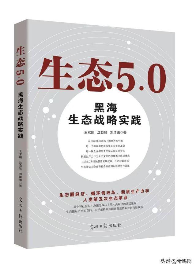 王京刚谈数智化时代未来趋势：数据与标准成核心壁垒