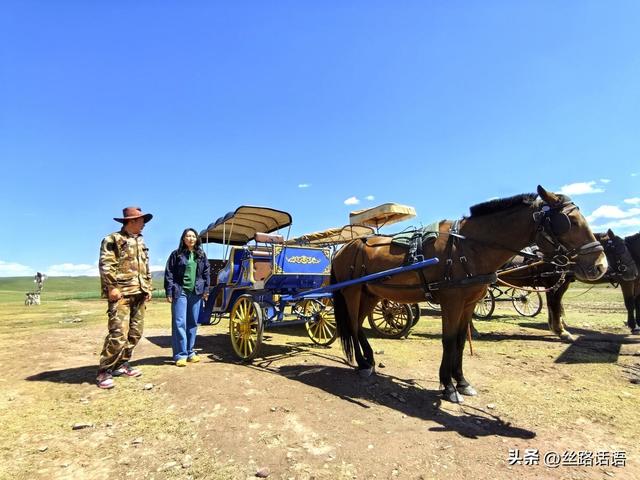 山丹：文旅融合赋新能 千年马场绽新颜