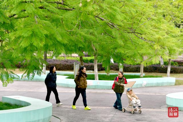 初冬时节，层林尽染，心随景动