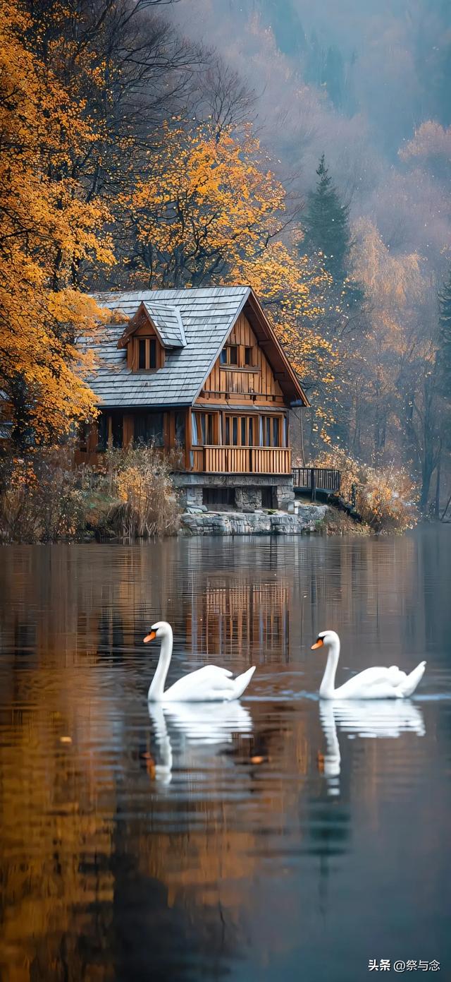 爱，是那碗深夜的醒酒汤