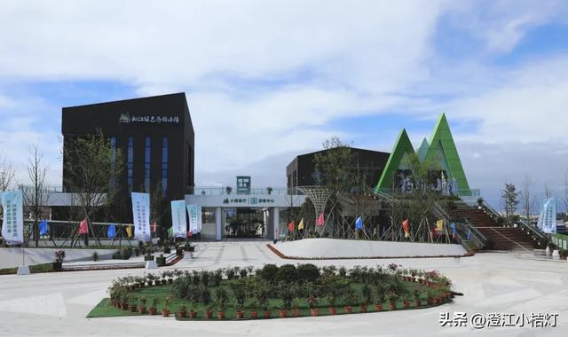 台州建设：这几天，椒江区各界人士热议椒江发展话题