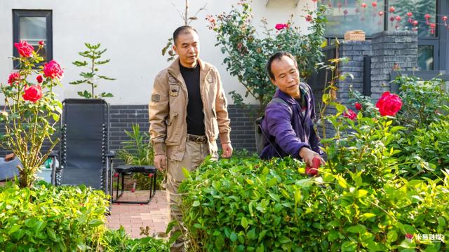 安逸！阳光康养鲜花里