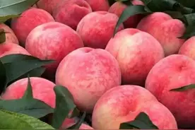 水蜜桃选购避坑指南：教你挑到爆甜多汁的“桃中贵族”图片