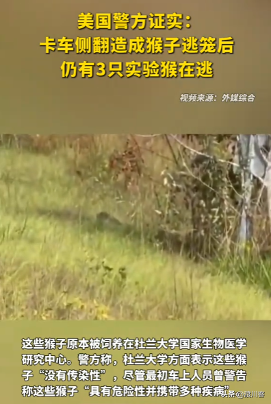 美国又泄露病毒？有3只实验猴逃跑	，携带新冠多种病毒，疑点重重