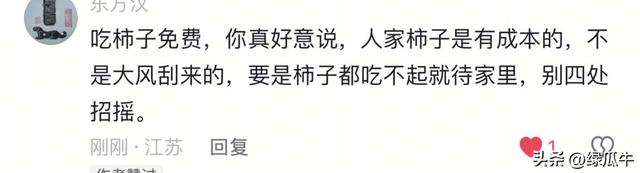 陕西彬州柿子火出圈，啥啥都免费，结果网友们不乐意了