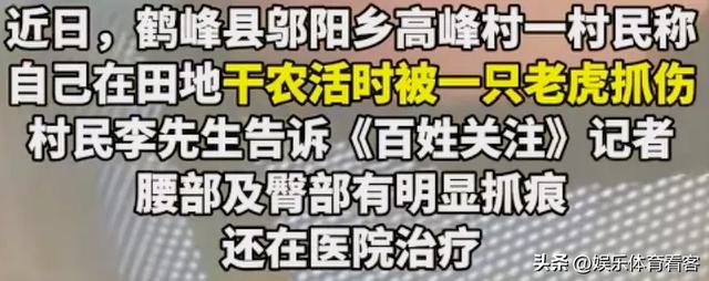 湖北恩施一村民干农活时被老虎抓伤：持锄头敲了它几下 摇摇头走了