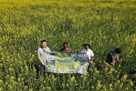 奋进中的农科创15| 武汉好种子海外结硕果 多家公司践行“一带一路”倡议图片