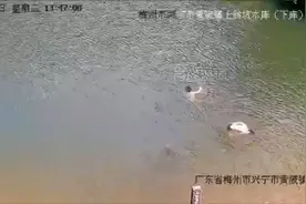 广东兴宁两少年溺亡，他们错失了唯一的一次活命的机会图片