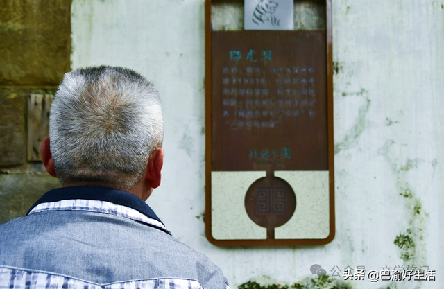 北碚公园竟是"大熊猫"命名地，原来藏着这么多秘密
