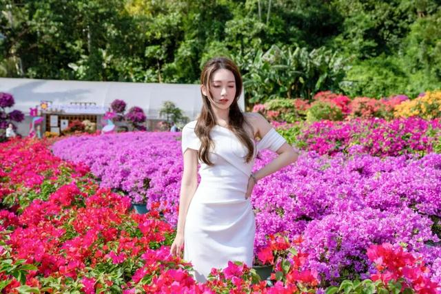 挤爆了！今天莲花山都是人人人，网友：感觉全深圳都来了！