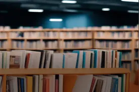 博士生在读博期间，能获得多少经济补助？够花吗图片