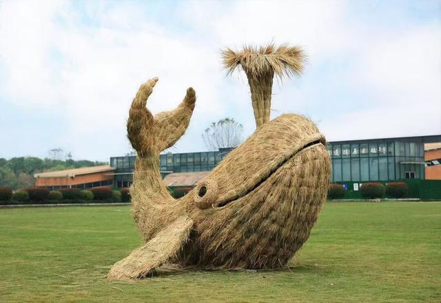 大江新闻粉丝专属福利！100张南昌珍奇植物园门票免费送！