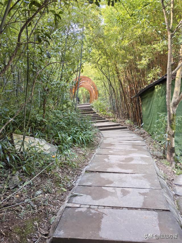 户外徒步之挑战缙云九峰，从健身梯道到狮子峰，走了四小时