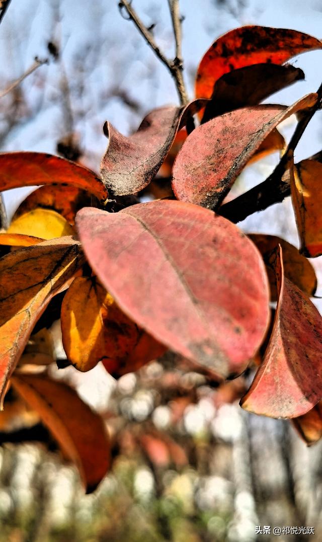 从底层杀出：你必须完成的五次灵魂蜕变