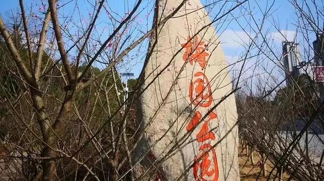 跟着赣超游鹰潭｜来鹰潭，开启一段“躺坪”之旅！