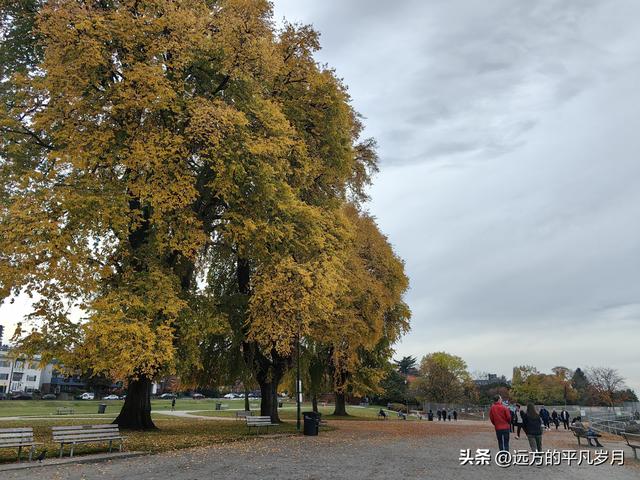 温哥华游记（五）