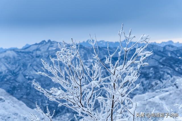 今年大雪不一般！5点04分交节，今冬雪多？看农谚咋说	，早了解