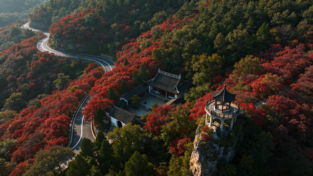 琅琊霜染文韵在 江淮冬暖客自来——安徽滁州初冬行记