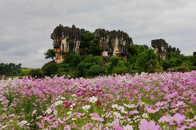 带着孙女去旅行（169）云南石林县印