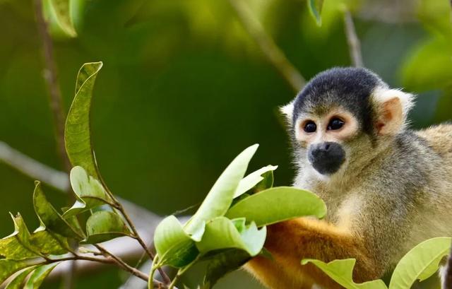 一生一次，2027年出发！41天南极半岛包船登陆，南美4国狂野自驾