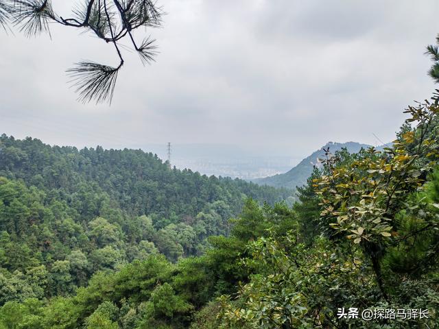 重庆主城藏了条“摆烂”步道：公交直达，轻松原始，就是有点费嘴