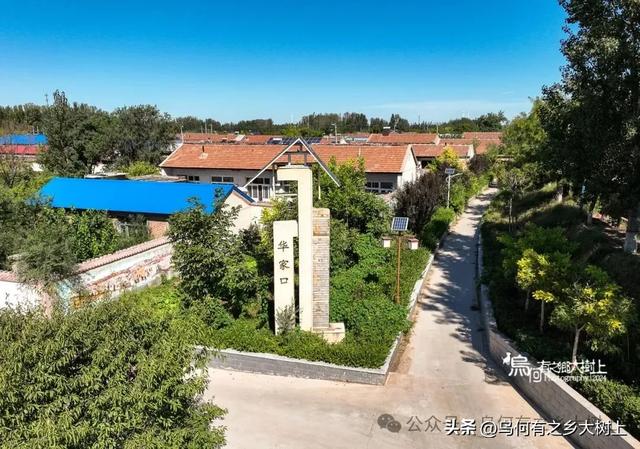 惊叹古人工程质量！景县华家口堤坝建于1911年，百年未有决口