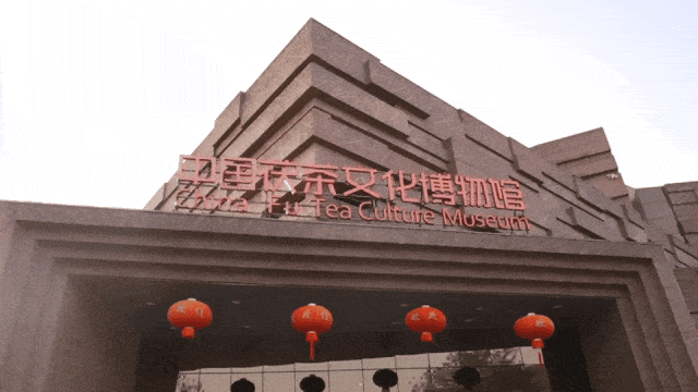 最新发布！5条线路，带你玩转长安→