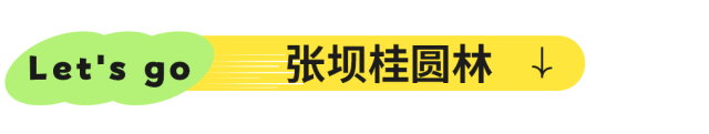 爆火！高铁1.5h！好吃不输乐山，安逸不差成都！这座火遍全国的川南小城是时候被挖掘！