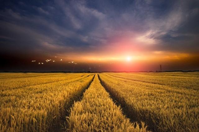 我在酒吧兼职调酒，一个风韵犹存的少妇成了常客，她只点我调的酒