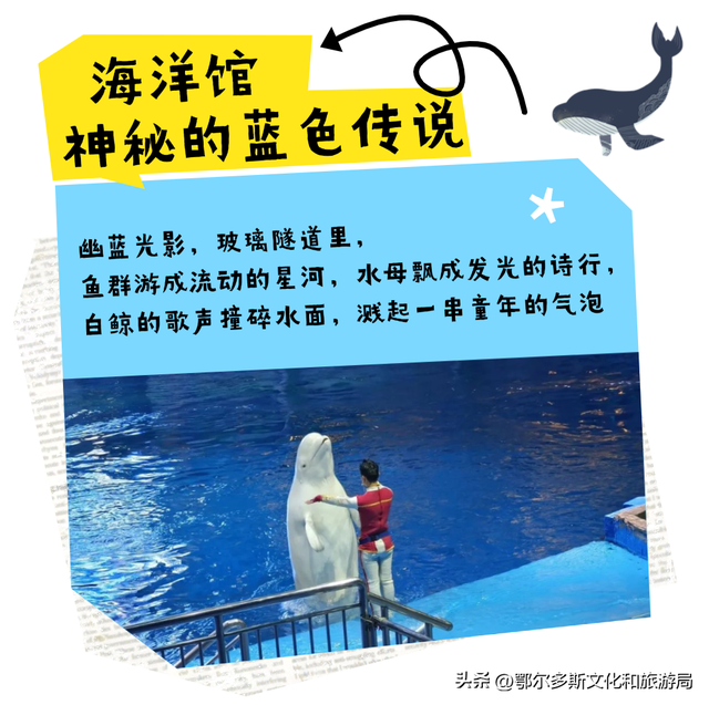 @所有人 文旅君带你云游东胜~~
