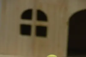 除了这七种，其它鹦鹉千万别买，买了就犯法！图片