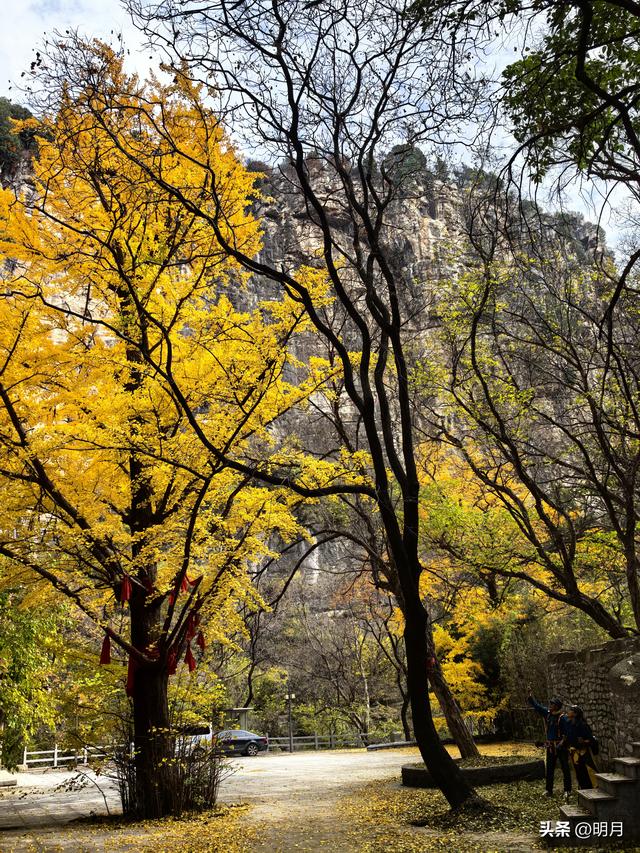 龙洞胜境尤奇崛