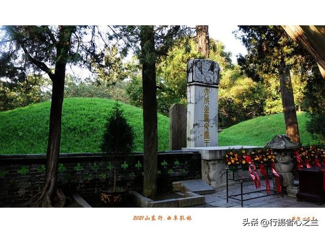 山东行游影记（228）—曲阜孔林（四）