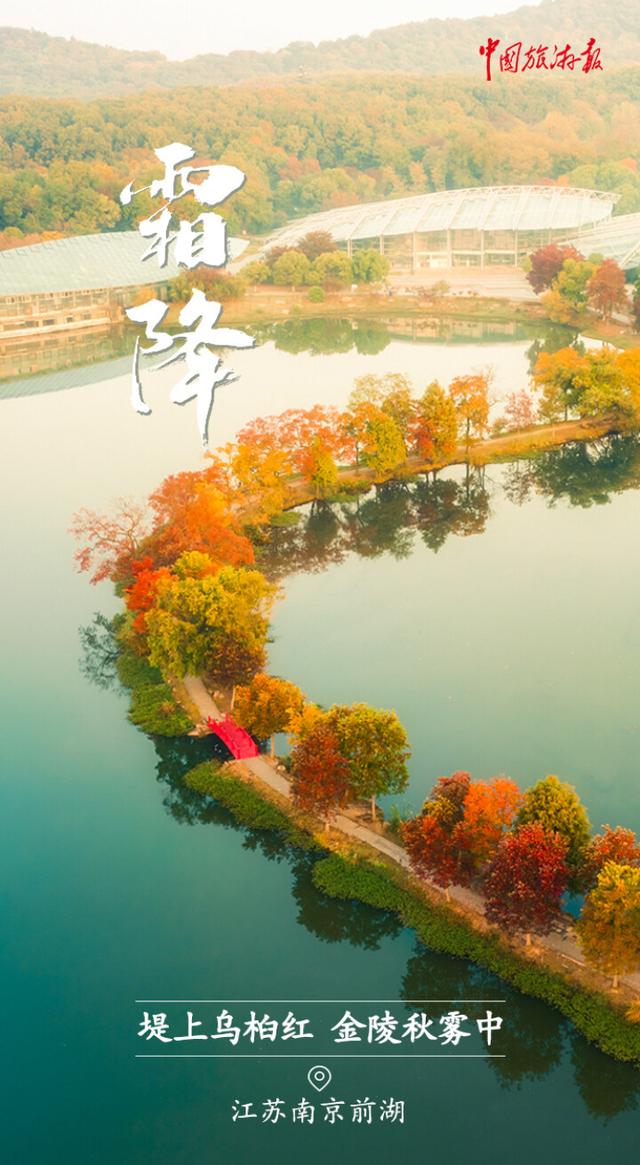 霜降丨收尽秋光惊艳色 静候冬日好时光