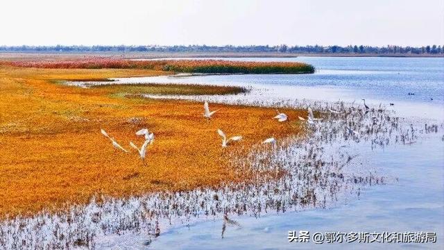 美到失语！秋天的七星湖，是上帝打翻的调色盘