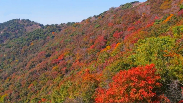 初冬漫游莱州：藏在胶东的千年风情与限定浪漫