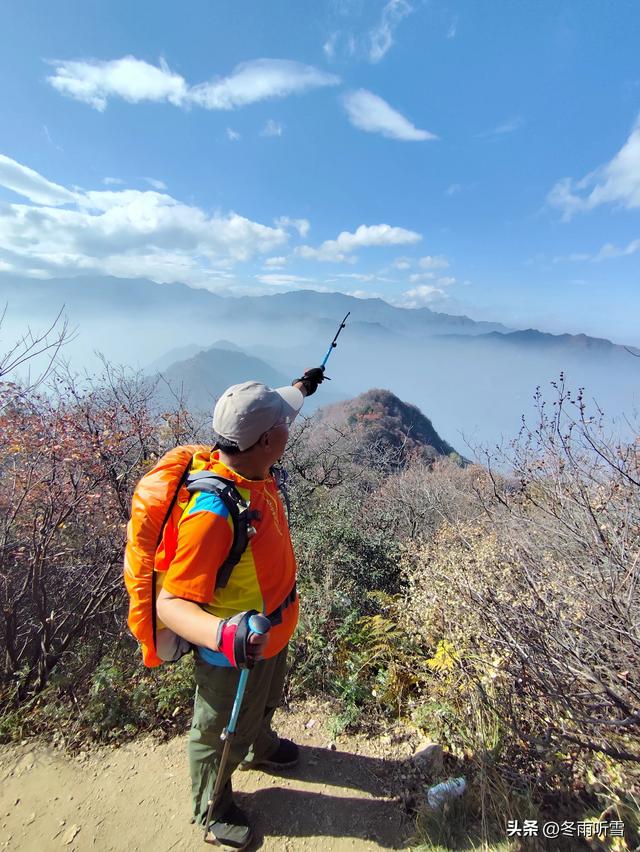 又见山山红叶飞