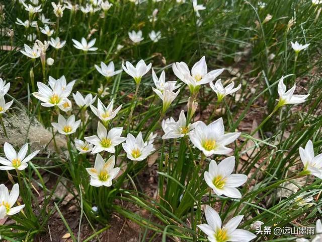 周末徒步，爬西山、走千步岩、过东风坝，我们在山水间快乐行走