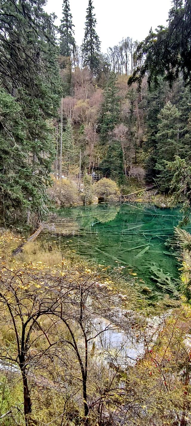 神仙池（一）竖幅