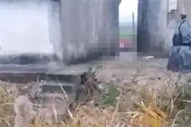 怀疑并非亲生，七旬老汉残忍杀害儿孙？警方：已介入处理 律师：老人可采取法律手段正确维权图片