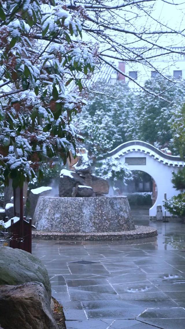 【雪漫汤头 温泉入梦】 汤头温泉旅游度假区“清冷与温润”的冬日美景皆在这里