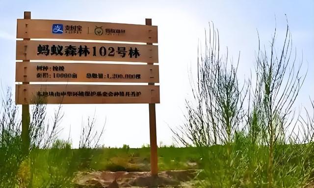 马云现身蚂蚁森林，大口吃西瓜，现场杂草丛生，跟2016年对比明显