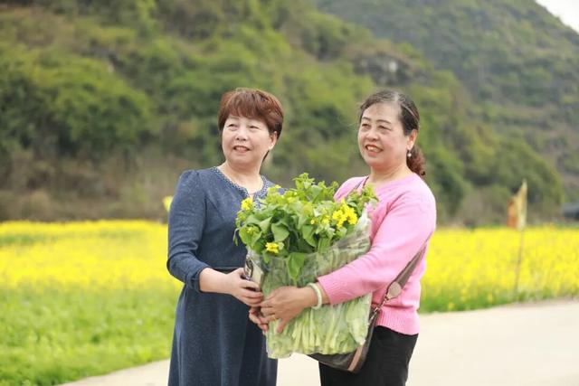 花海与“村BA”共舞！柳江春节文旅市场“热力全开”