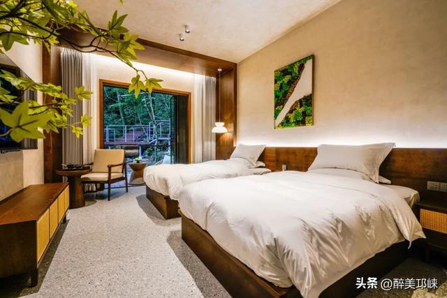 100个美梦丨在天台山云雾深处，藏着一处会呼吸的苔藓秘境