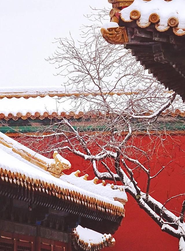 雪落无声