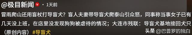 爬泰山的作死夫妻被制裁！导盲犬被收回，身份被扒，家里还有一只