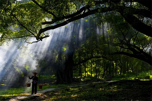 这是油画还是实景？太美太美啦！！