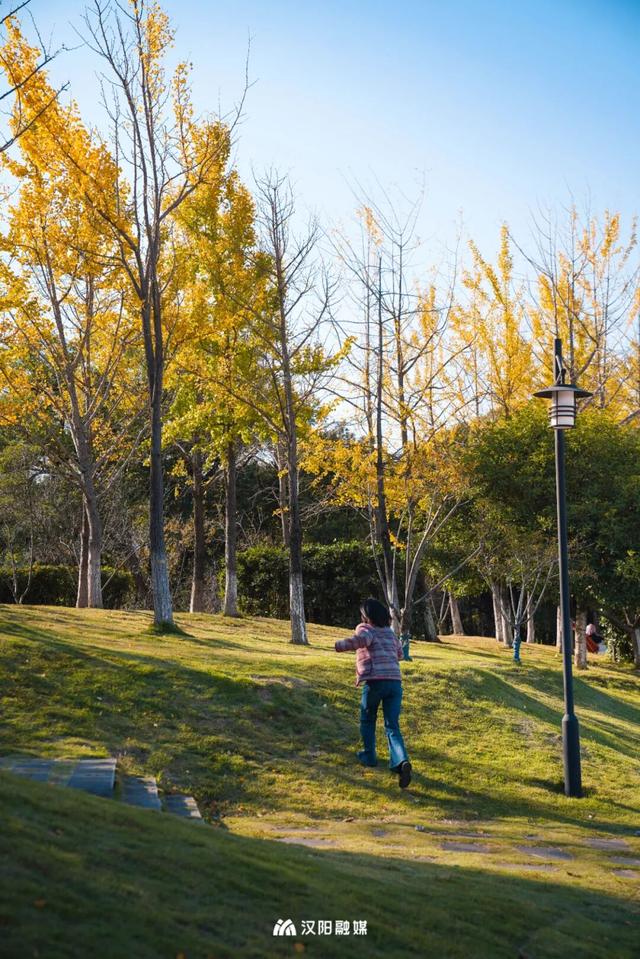 武汉城中心的彩叶秘境，在汉阳藏不住了！