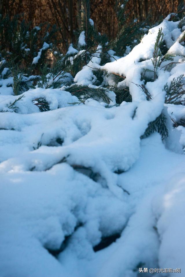 晨晓微曦的雪棱光